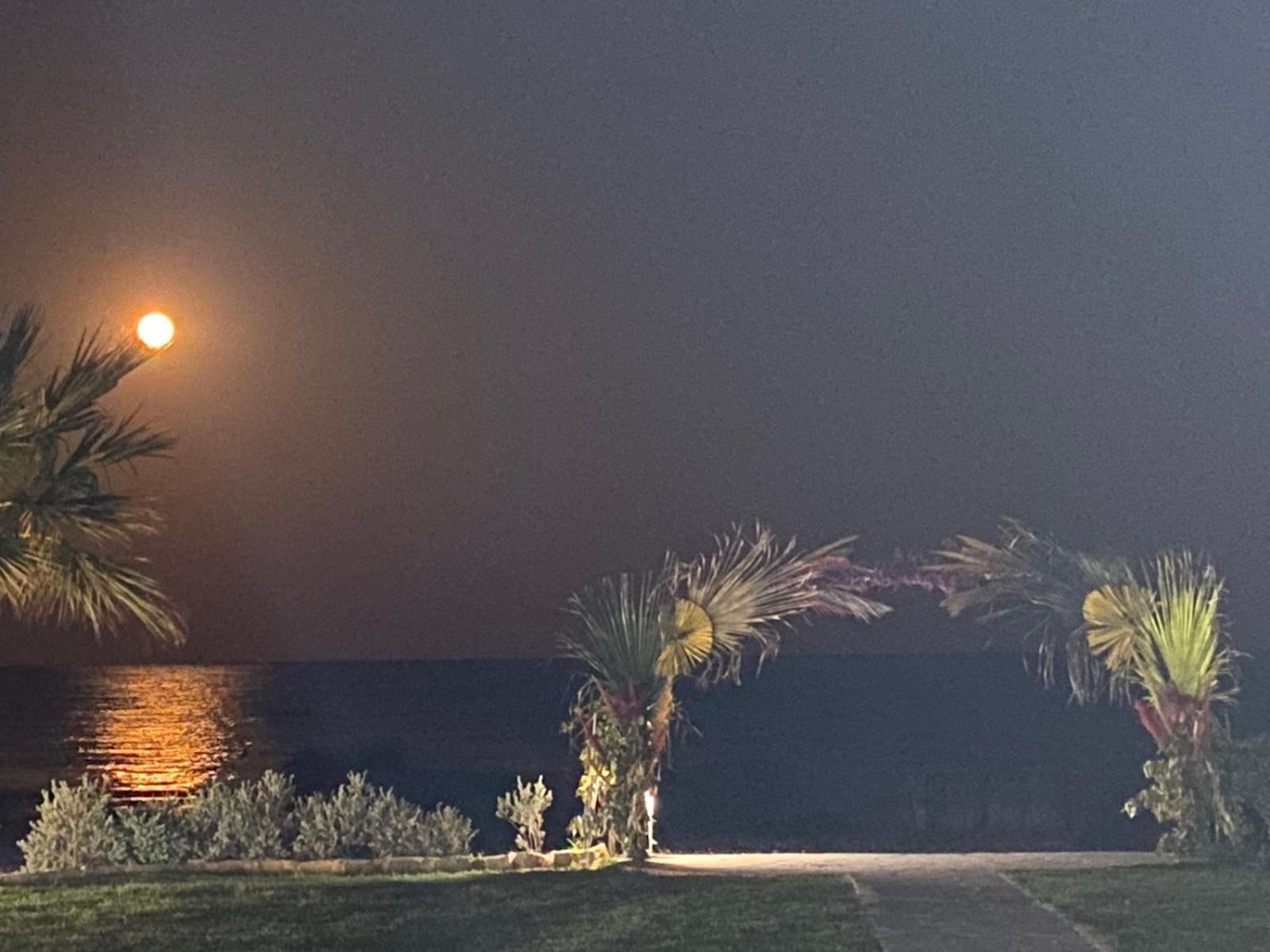Ionion Beachfront Villa Ayia Napa Exterior foto