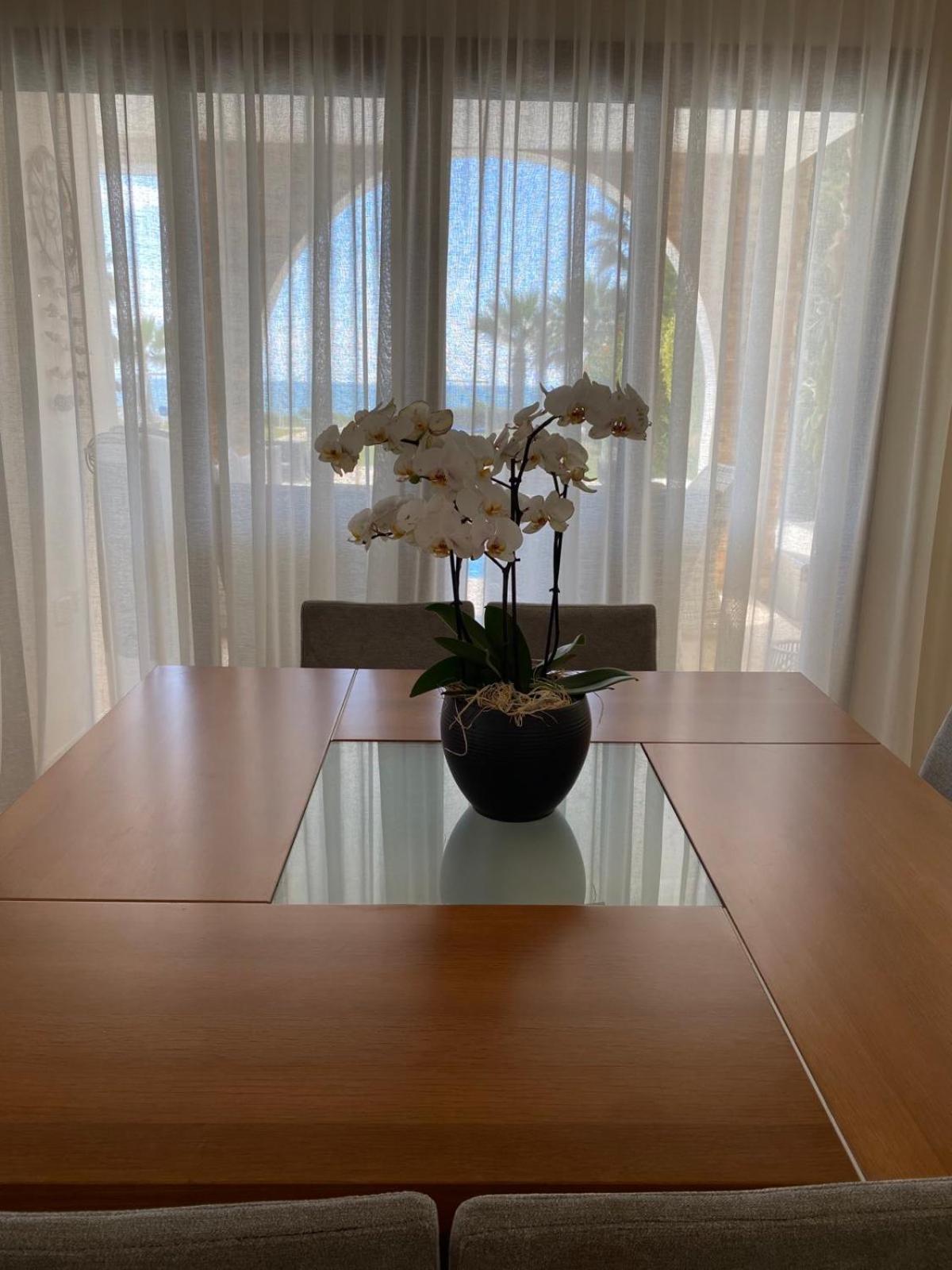 Ionion Beachfront Villa Ayia Napa Exterior foto
